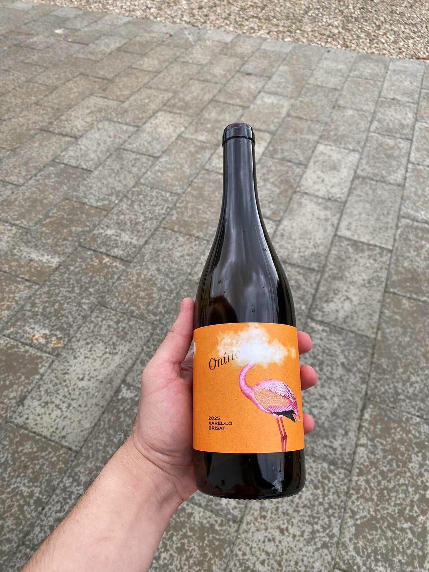Entré Vinyes - Oniric Brisat '25