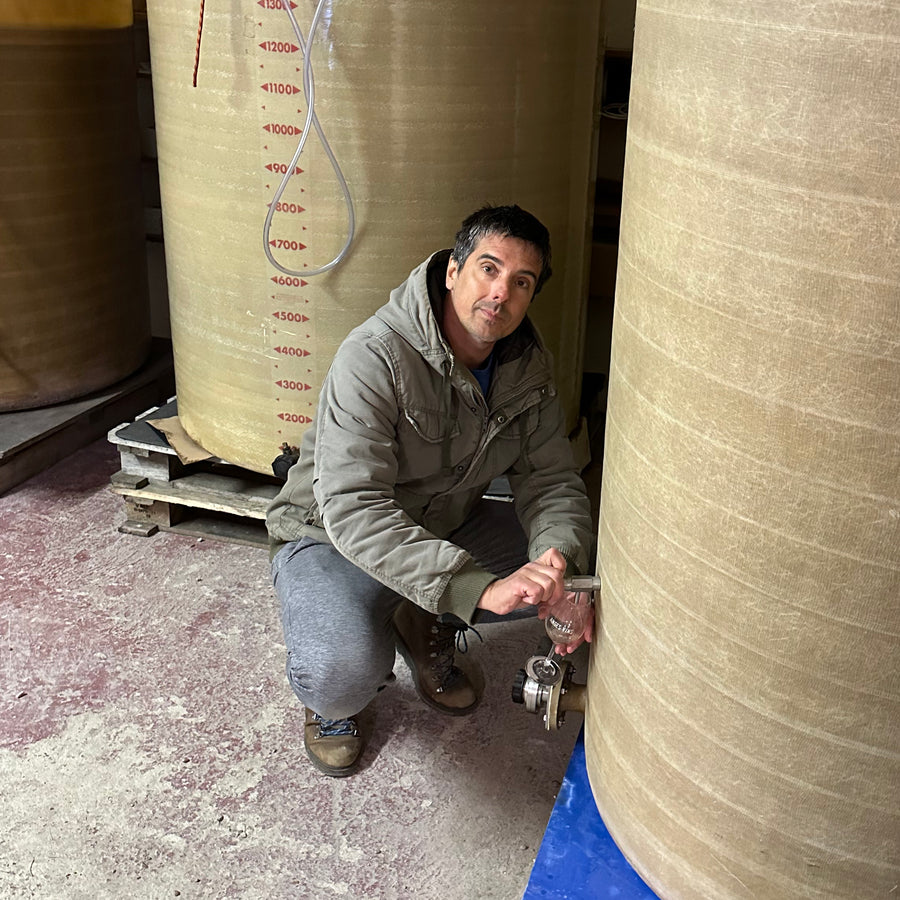Domaine Guillaume Noire