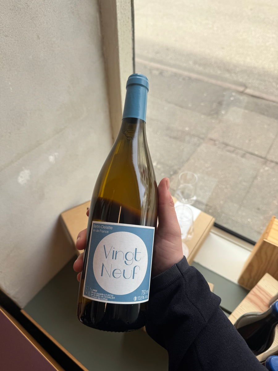 Bertin-Delatte Vingt-Neuf 2022, hvidvin fra Loire (Rablay-sur-Layon)