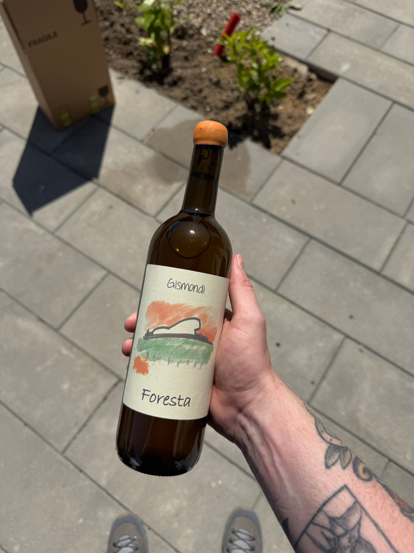Gismondi Foresta 2024, orangevin fra Campania