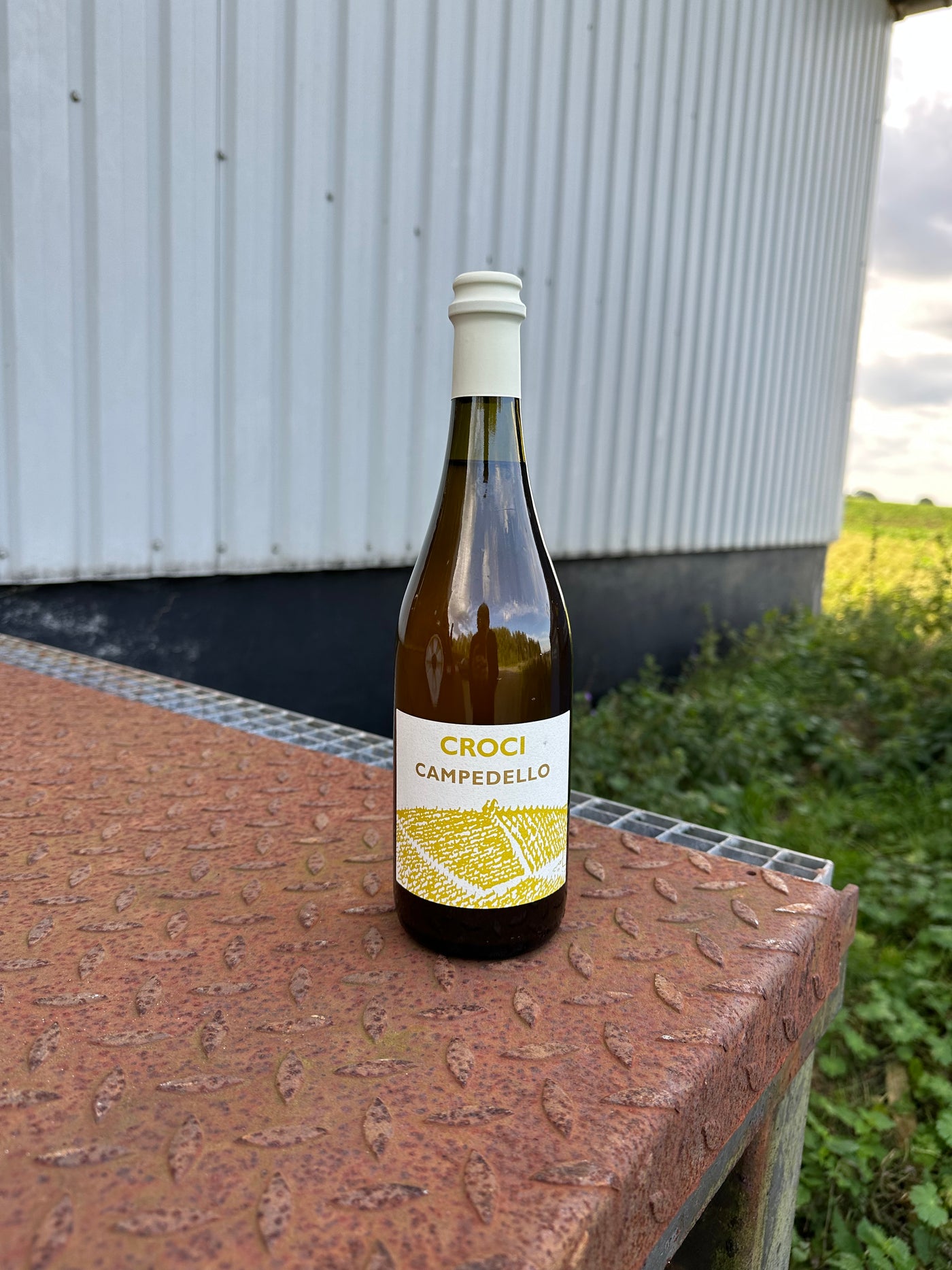 CROCI Campedello 2023, orangevin / let mousserende fra Emilia-Romagna
