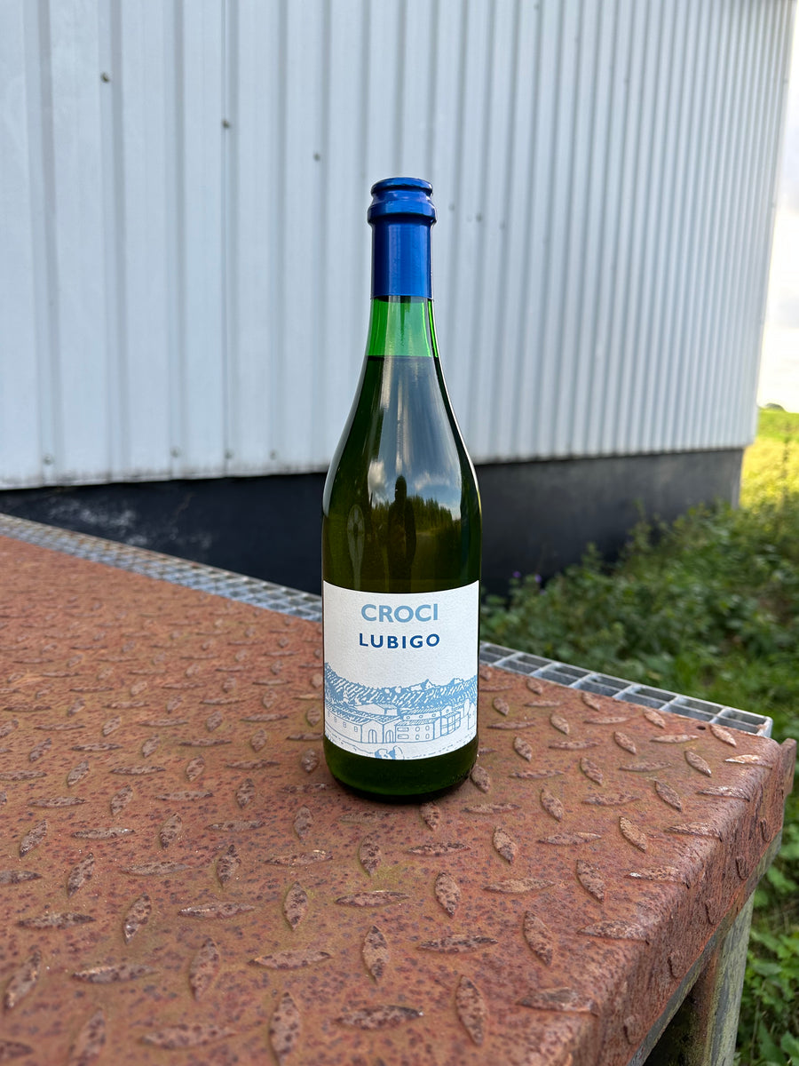 CROCI Lubigo 2022, orangevin / let mousserende fra Emilia-Romagna