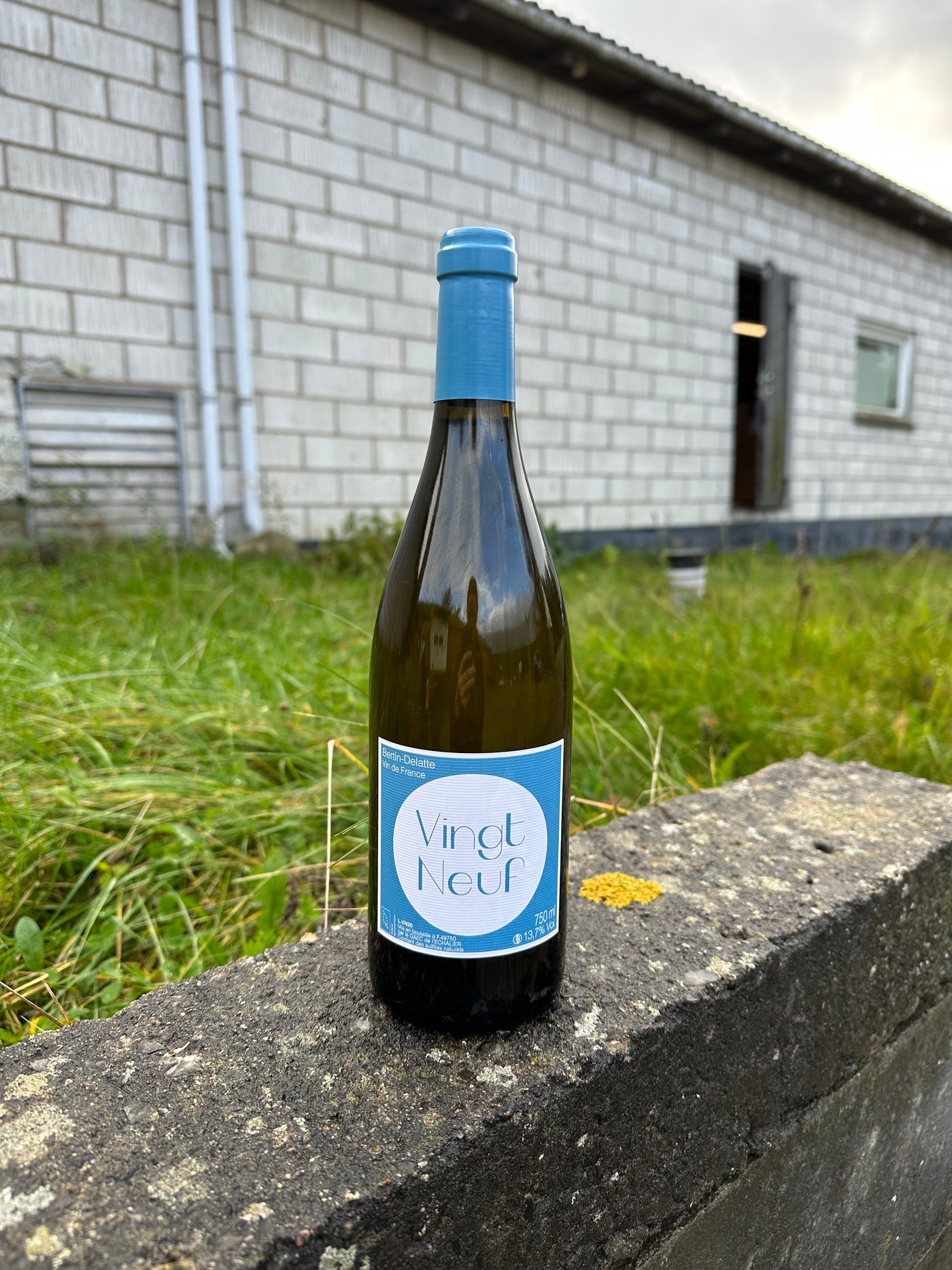 Bertin-Delatte Vingt Neuf 2021, hvidvin fra Loire