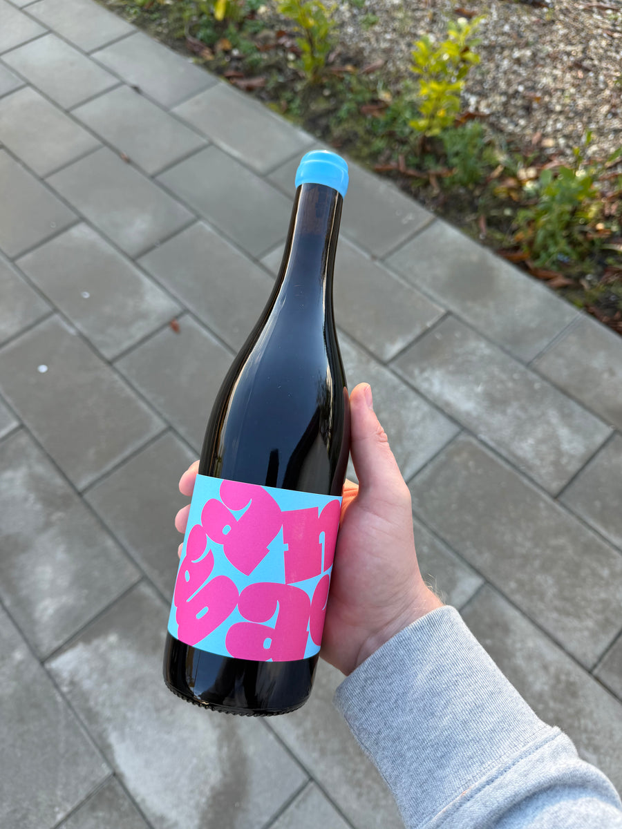Club Canon Gamay 'A' 2024, rødvin fra Bourgogne (Côte Chalonnaise)