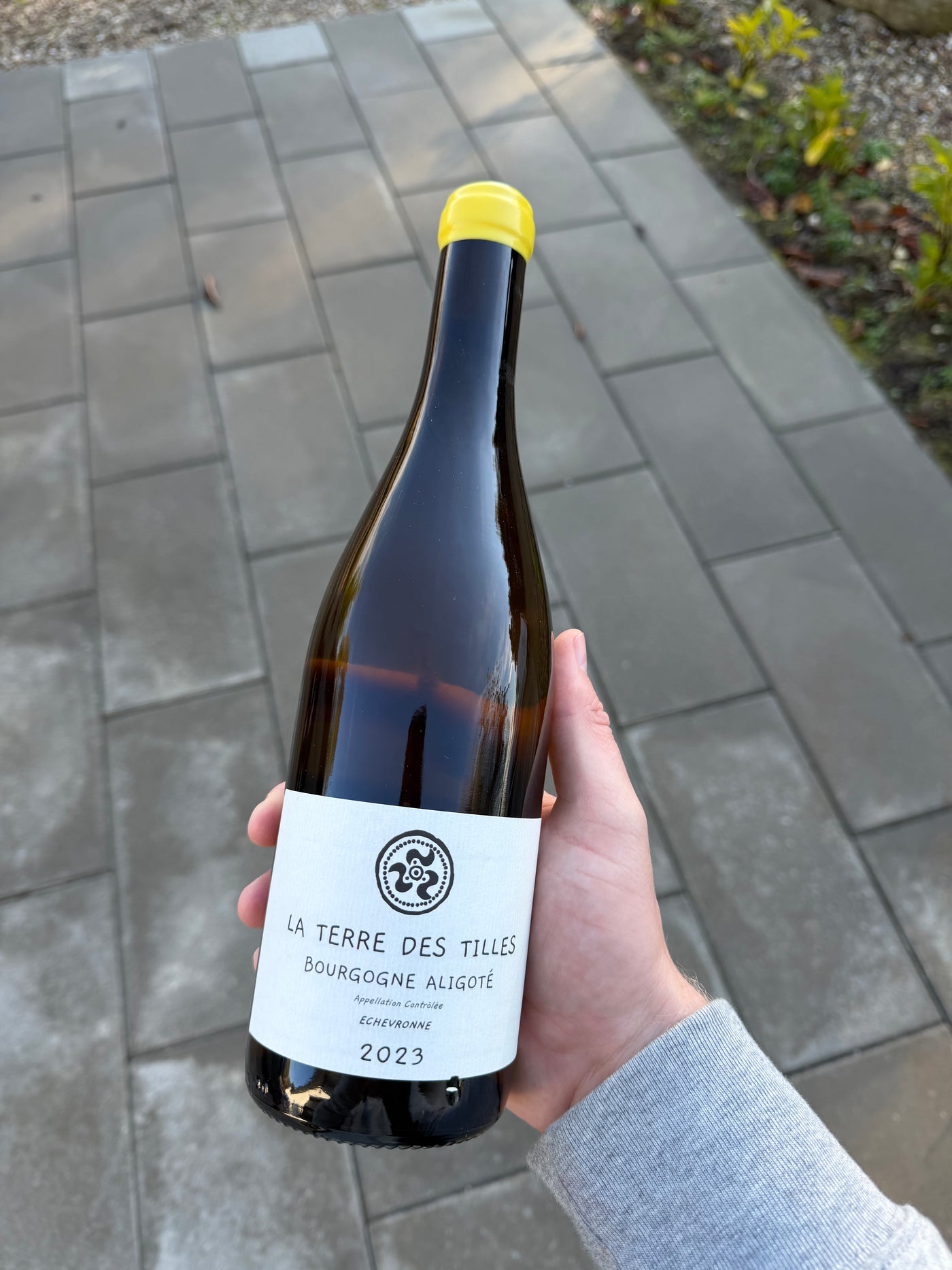 La Terre des Tilles Bourgogne Aligoté 'Echevronne' 2023, hvidvin fra Bourgogne