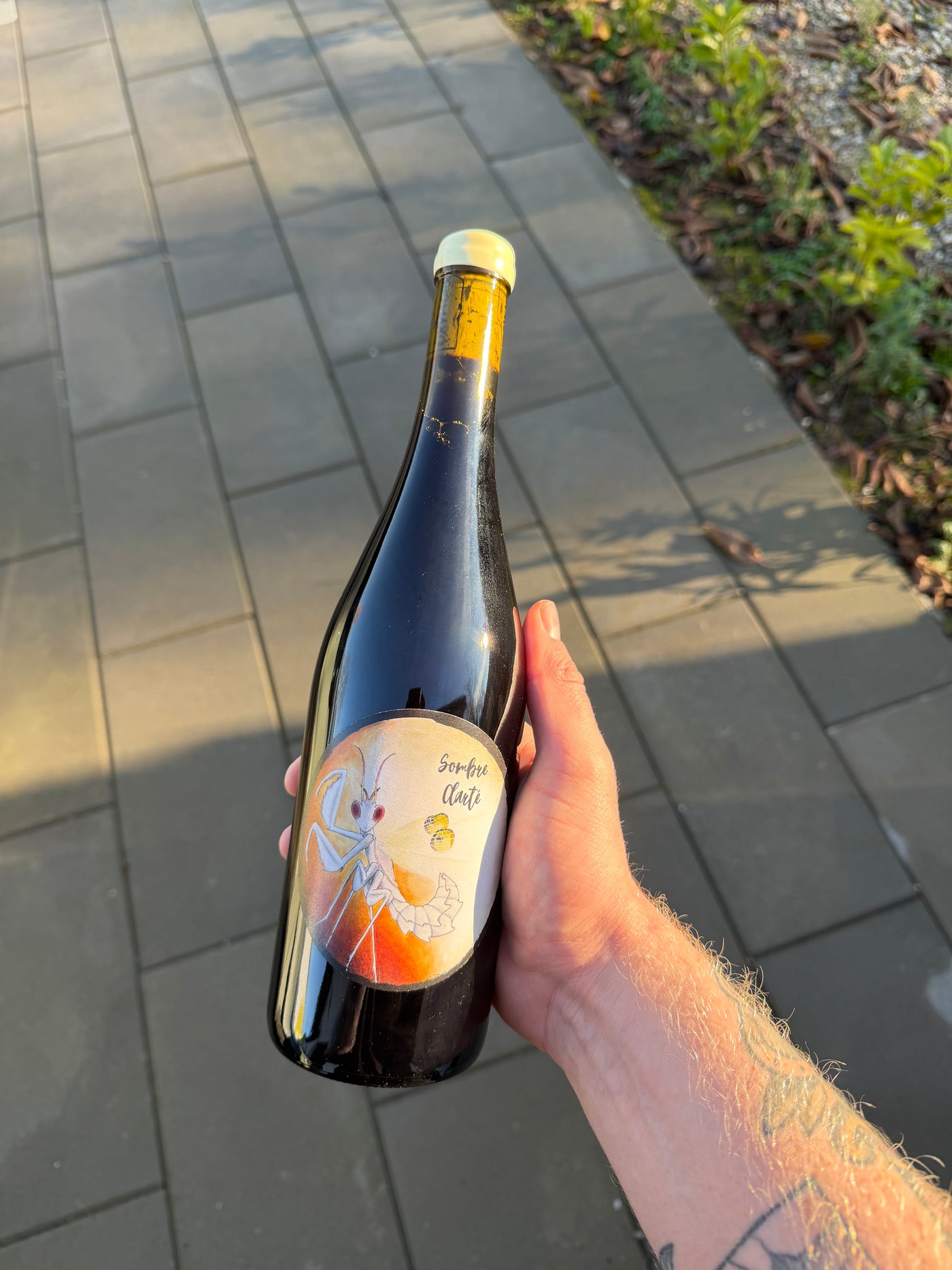 Oxymore Sombre Clarté 2024, rødvin fra Jura (Domblans)