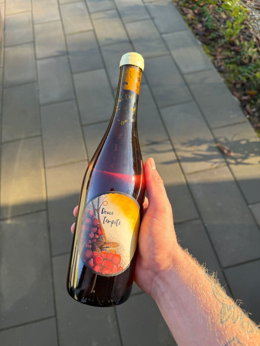 Oxymore Douce Tempête 2024, vin de liqueur fra Jura (Domblans)