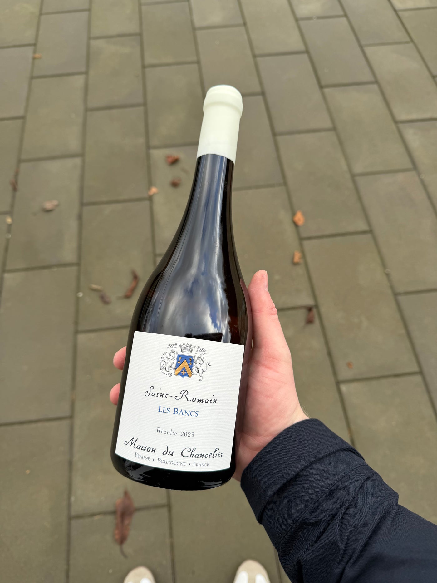 Domaine du Chancelier Saint-Romain 'Les Bancs' 2023, hvidvin fra Bourgogne