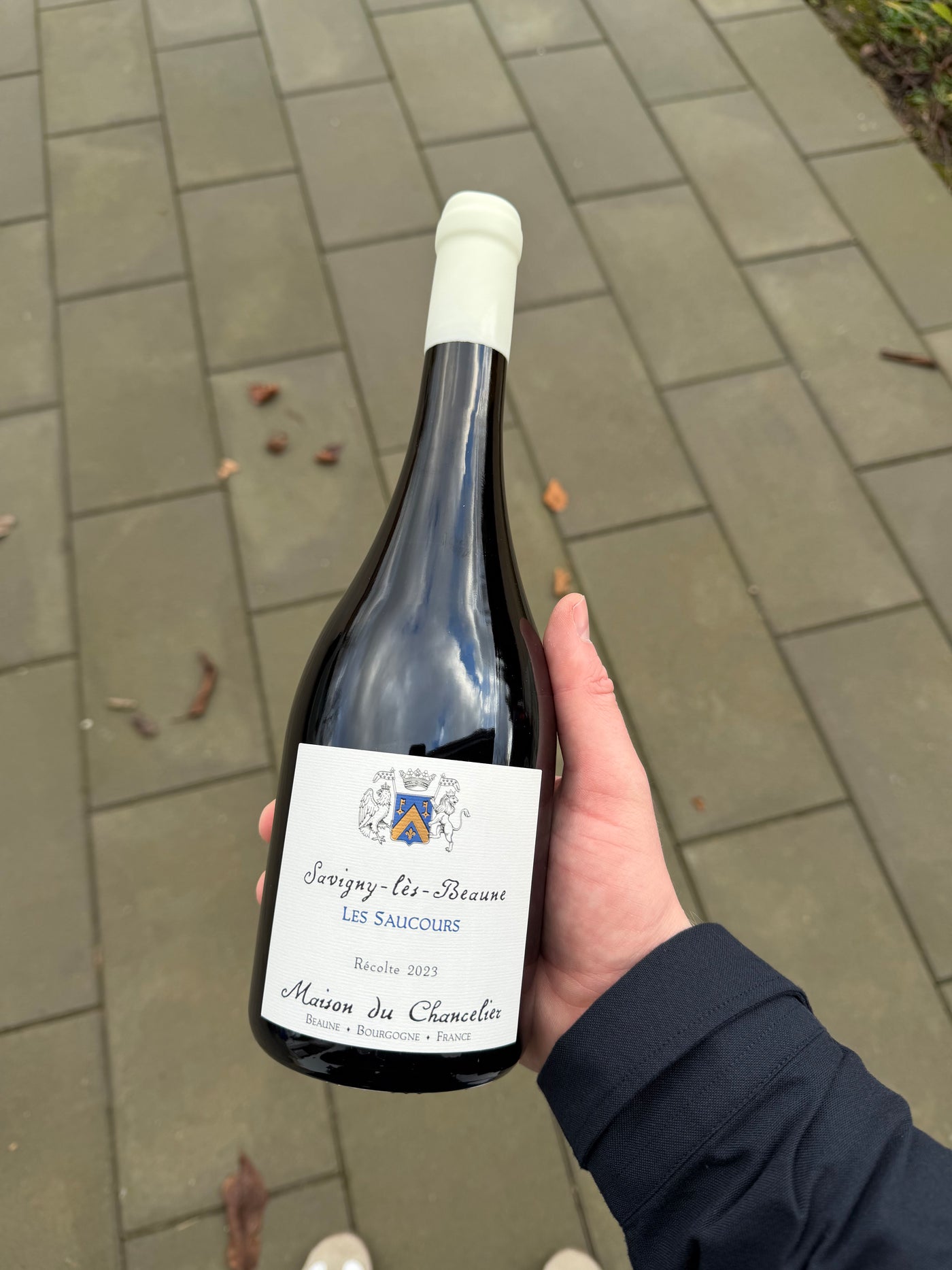 Domaine du Chancelier Savigny-lés-Beaune 'Les Saucours' 2023, rødvin fra Bourgogne