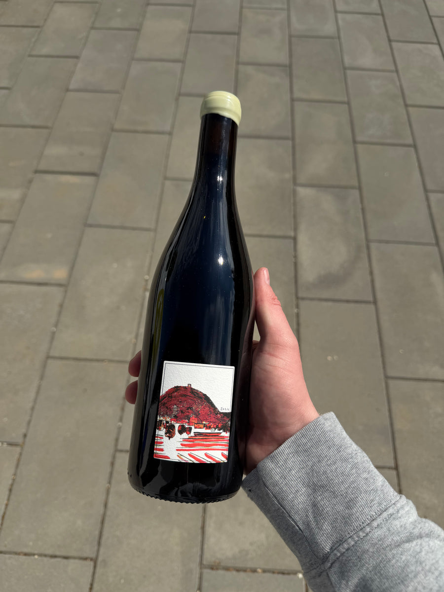 Wills Wine Avant Midi 2024, rødvin fra Nord Rhône (Condrieu)