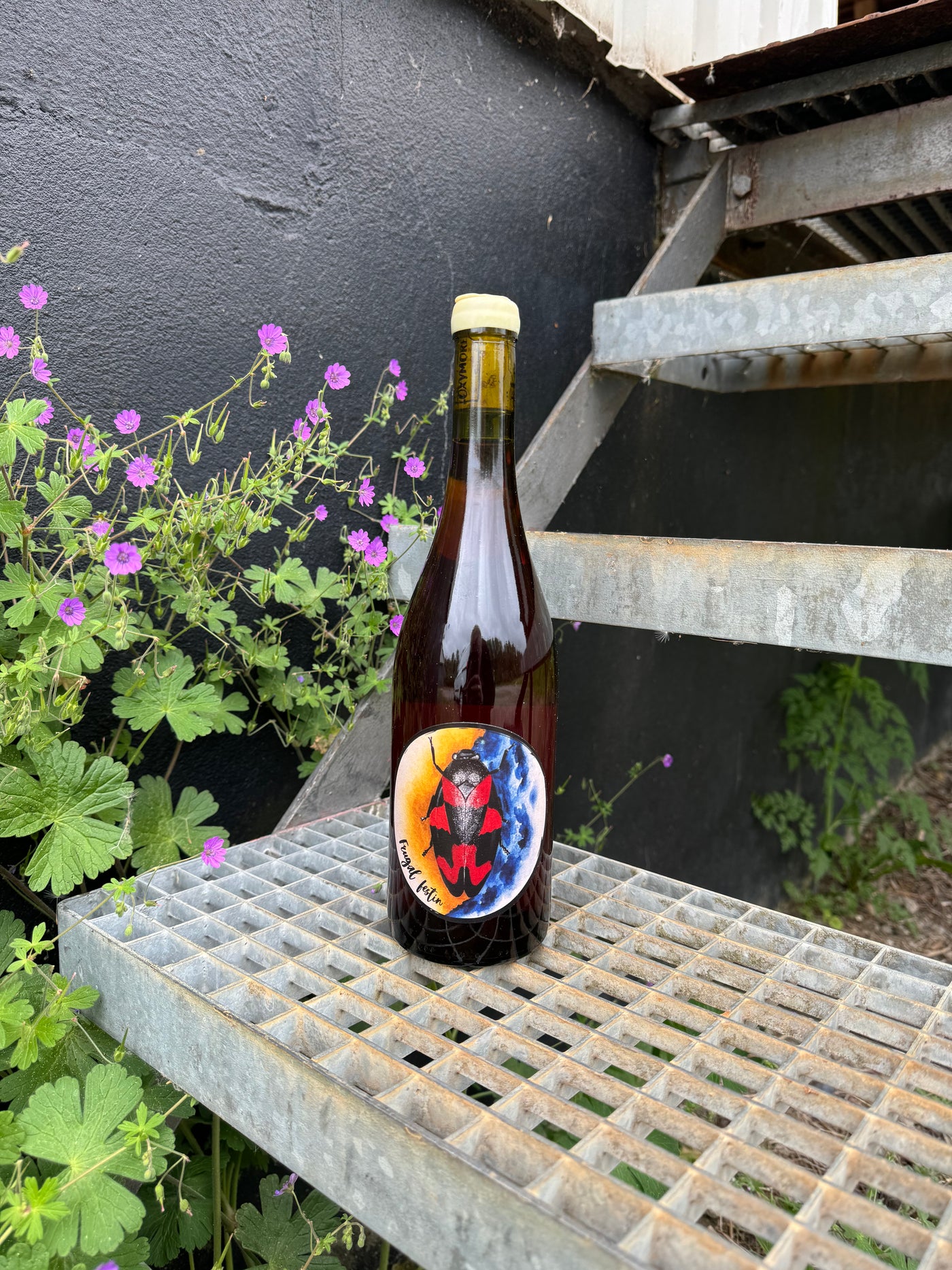 Oxymore Frugal Festin 2023, hvidvin fra Jura (Domblans)