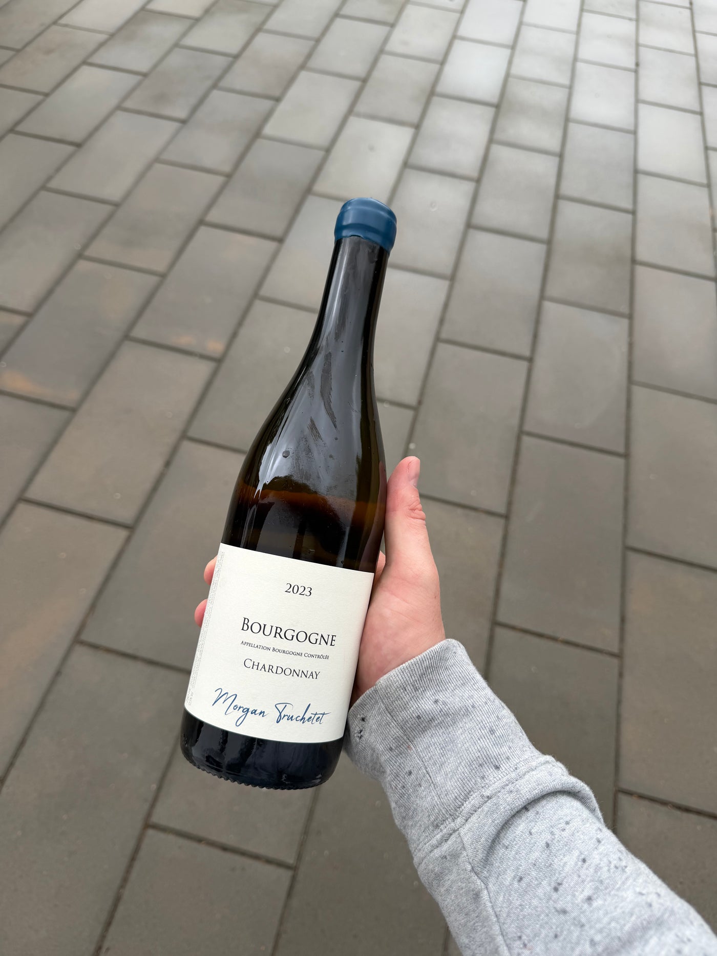 Domaine Truchetet Bourgogne Chardonnay 2023, hvidvin fra Bourgogne (Premeaux-Prissey)
