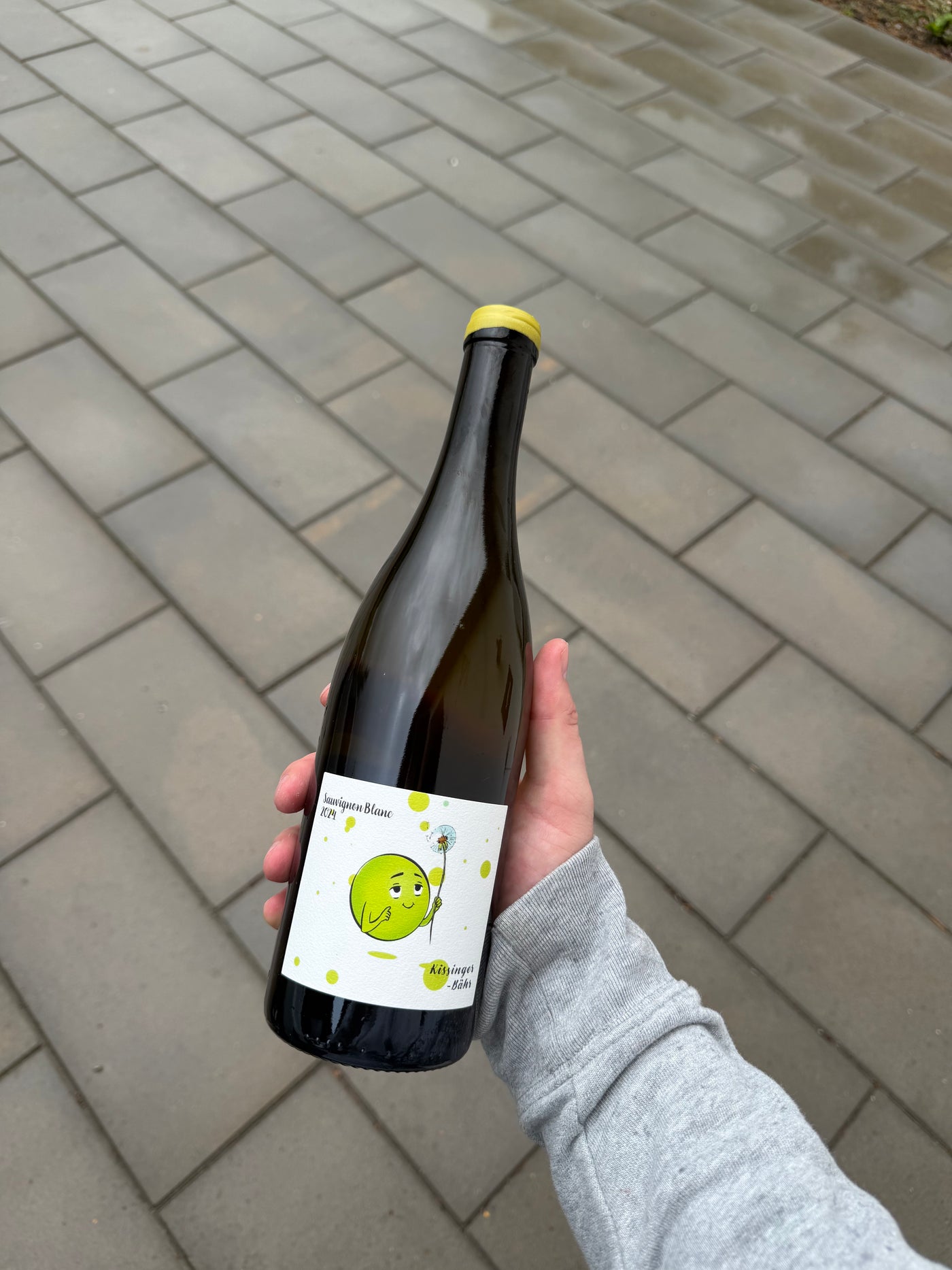 Moritz Kissinger Sauvignon Blanc 2024, hvidvin fra Rheinhessen