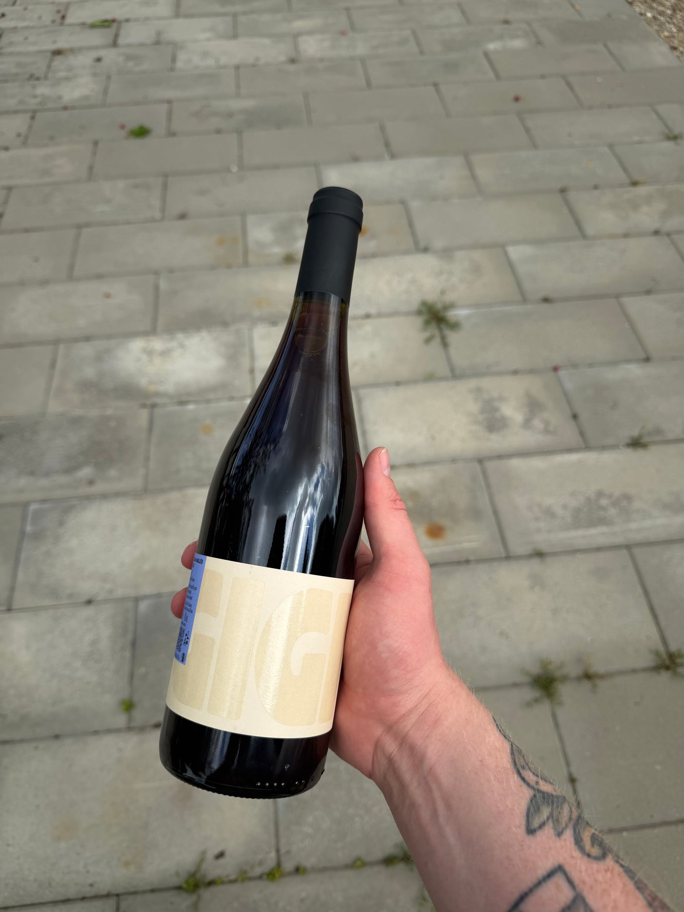 Léah Anglés Gigi 2025, rødvin fra Banyuls-sur-Mer