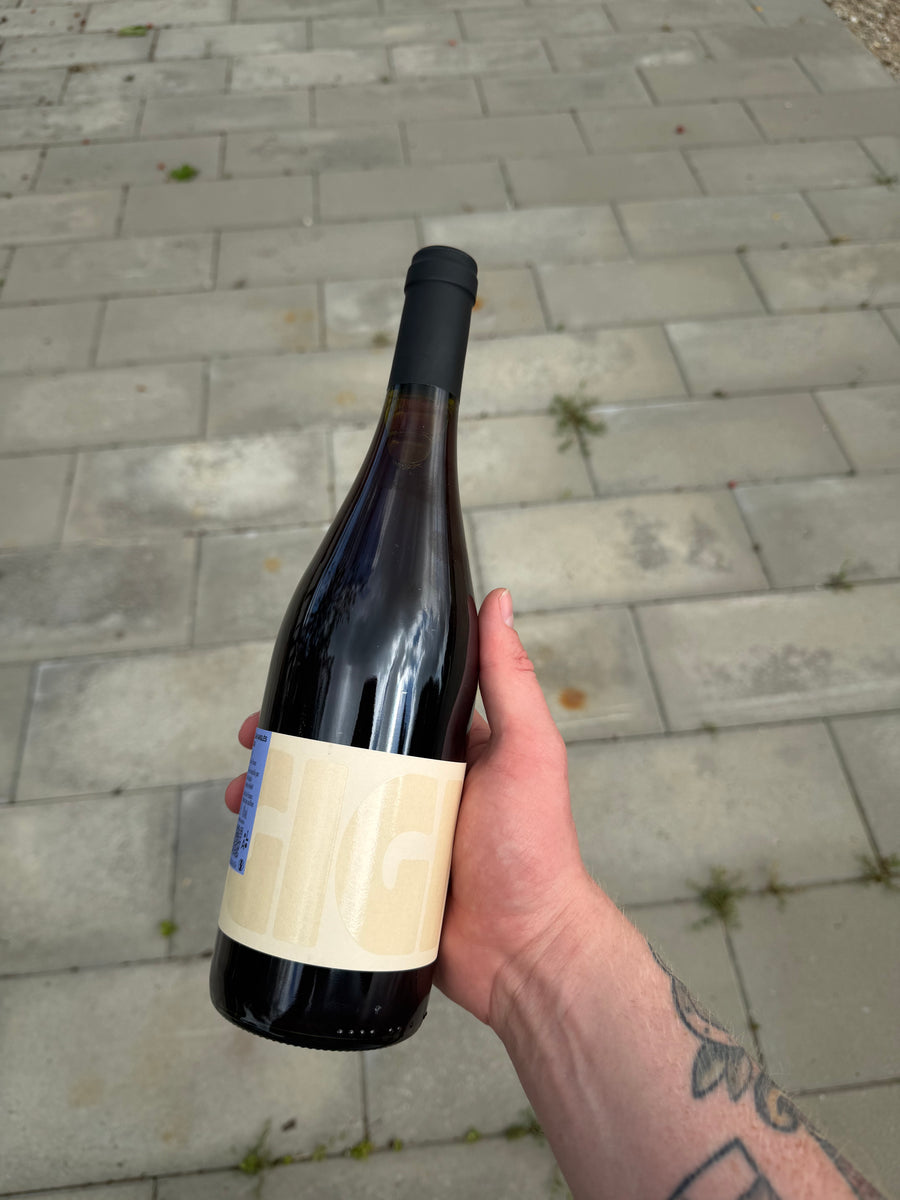 Léah Anglés Gigi 2025, rødvin fra Banyuls-sur-Mer