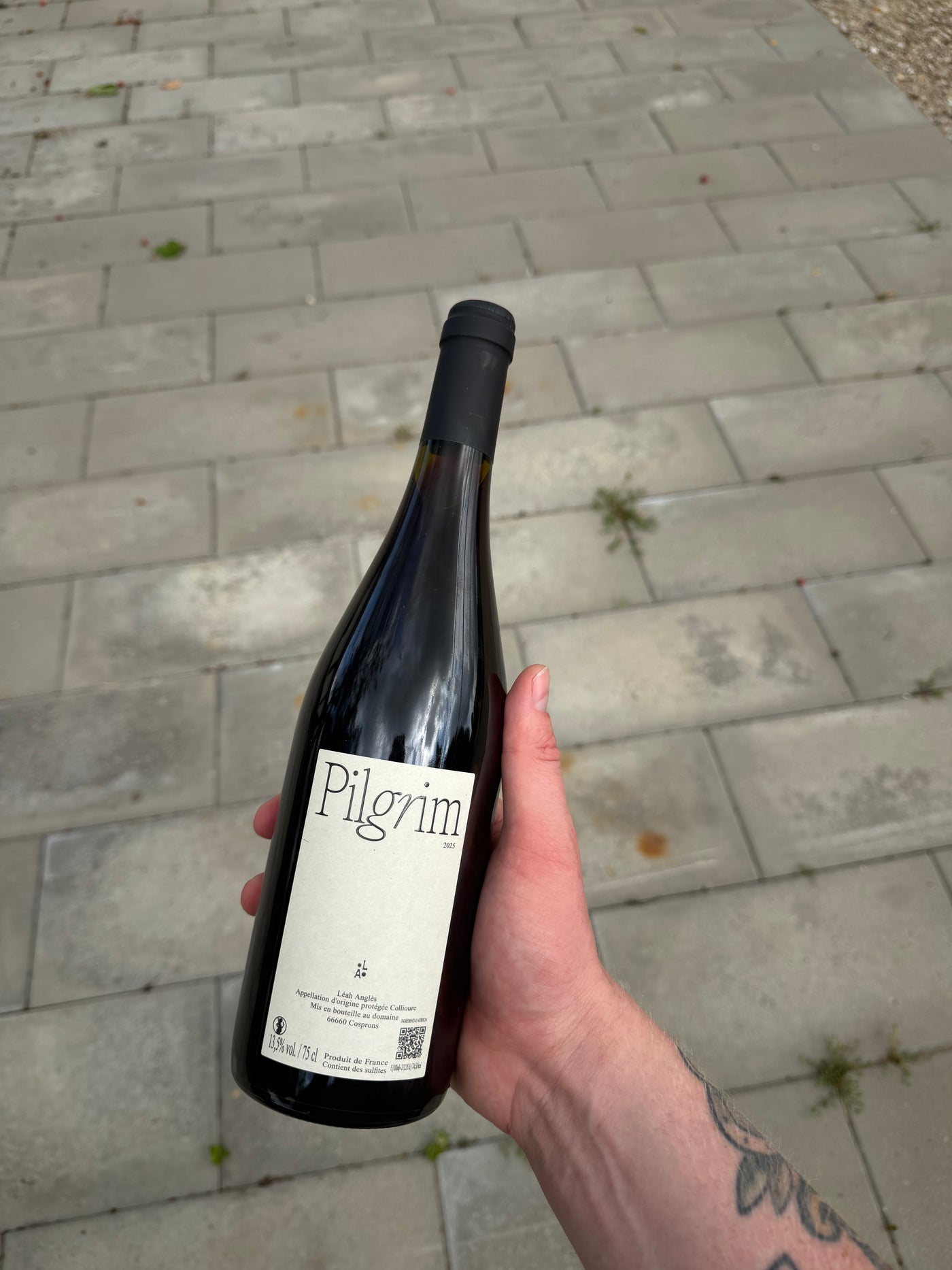 Léah Anglés Pilgrim 2025, rødvin fra Banyuls-sur-Mer