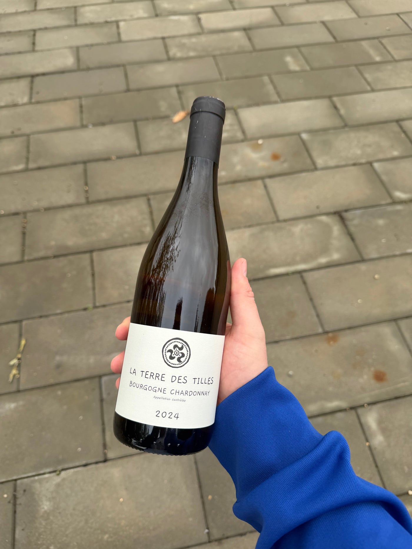 La Terre des Tilles - Bourgogne Blanc '24