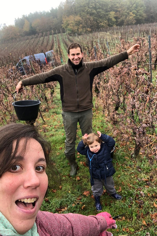 Domaine du Petit Bouchon