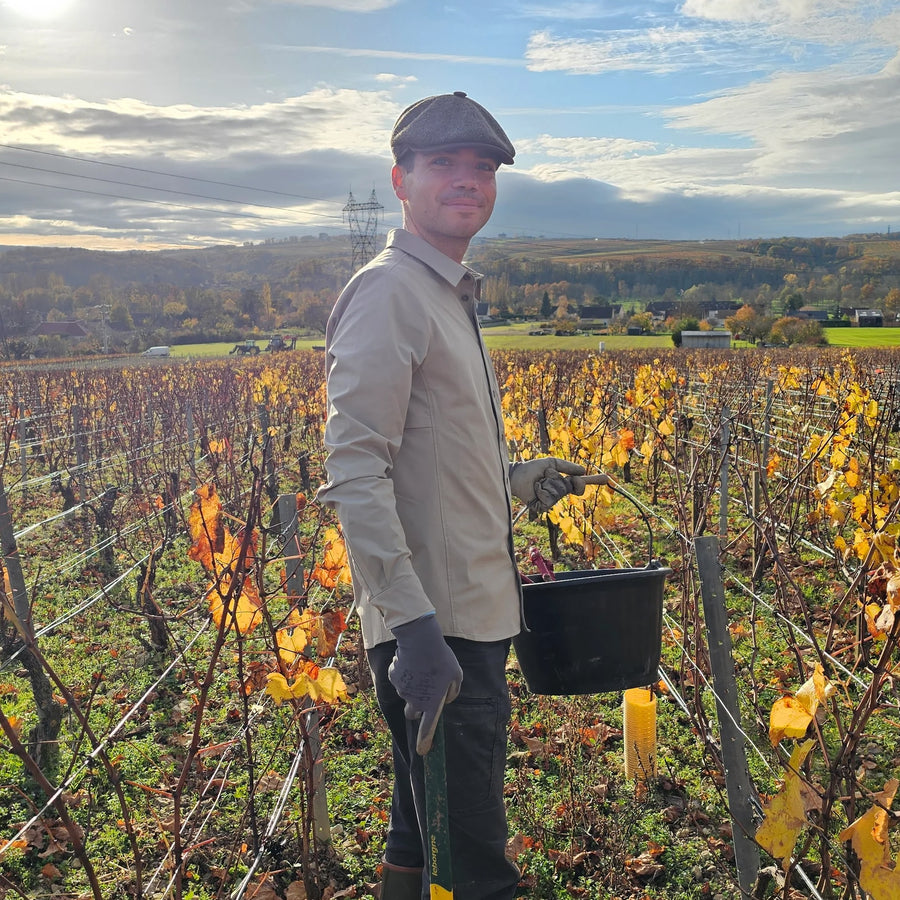 Domaine Pierre Ségault