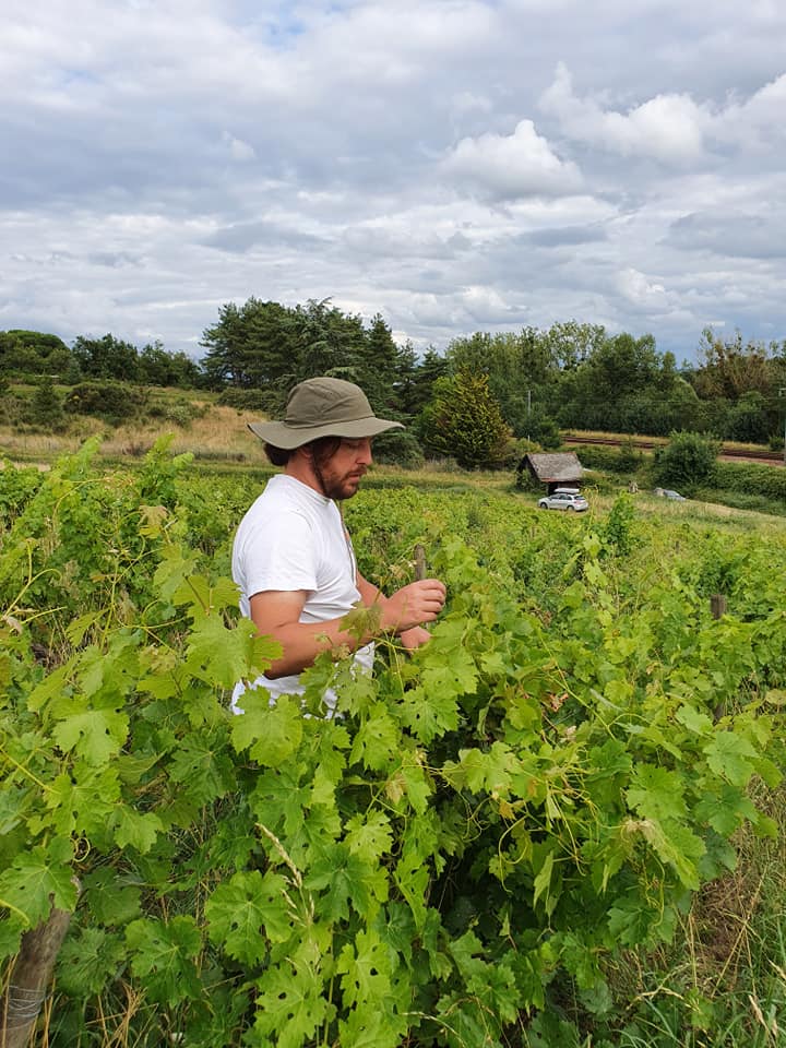 Domaine de le Créchette