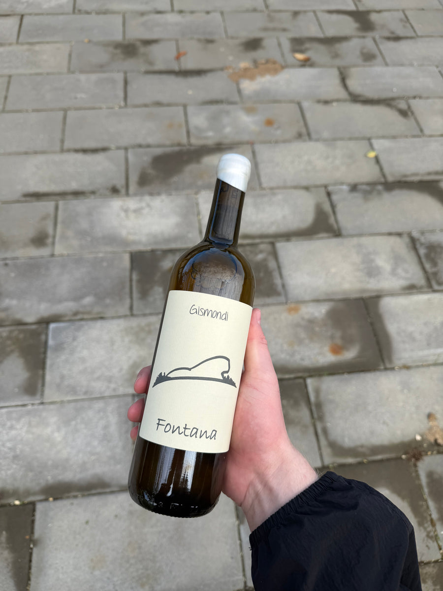 Gismondi - Fontana '25