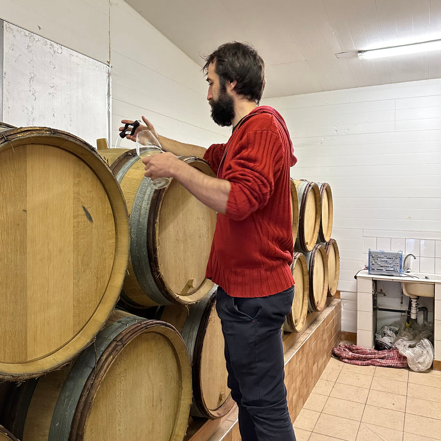 Domaine Trivel