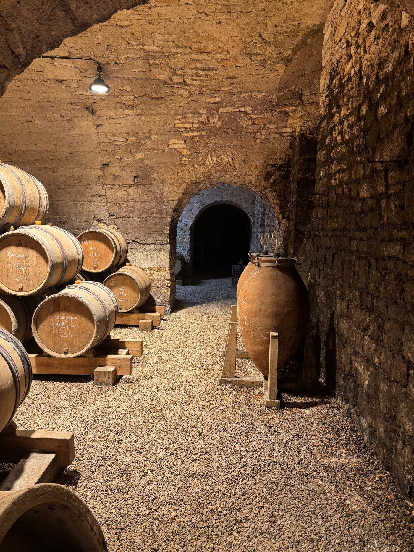 Månedens smagning: De perfekte vine til juletiden! (04.12.25)