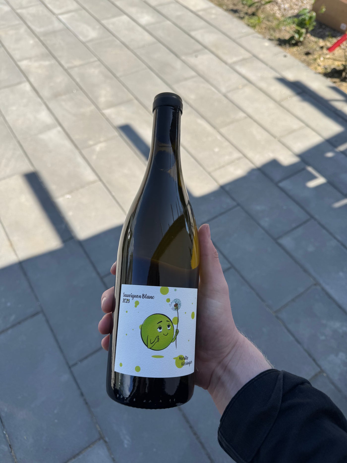 Moritz Kissinger - Sauvignon Blanc '23