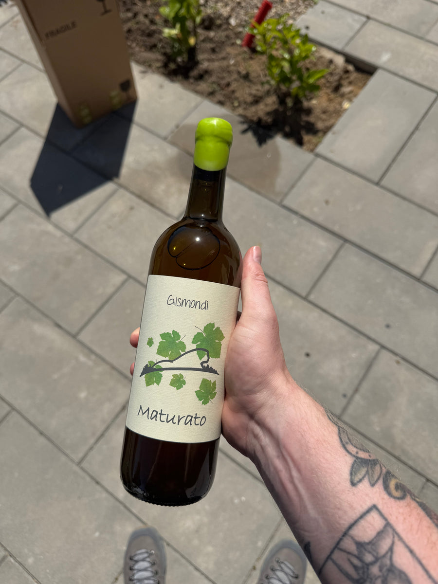 Gismondi Maturato 2024, orangevin fra Campania
