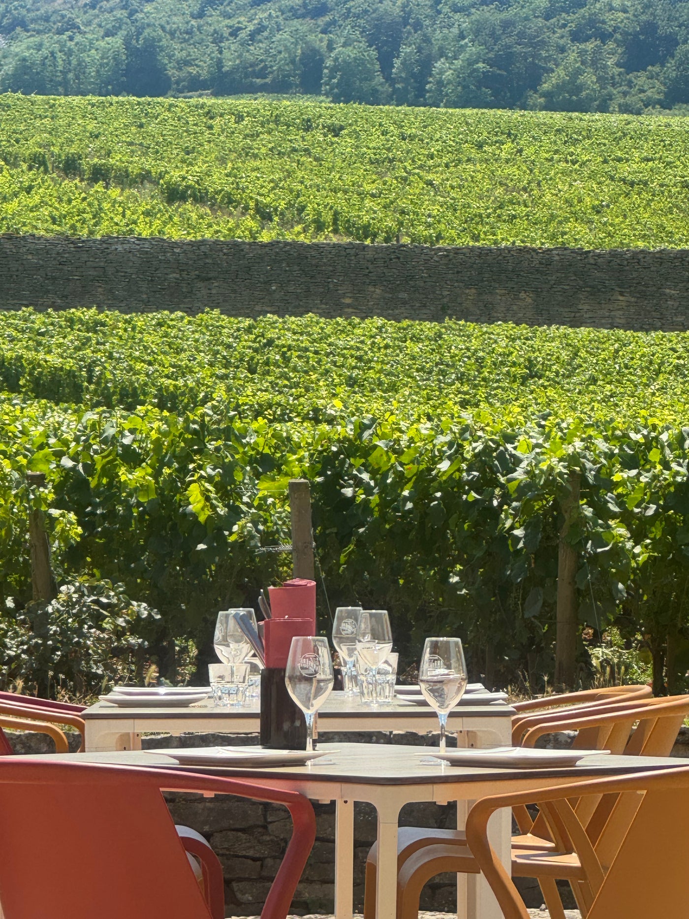 Månedens vinsmagning: Beretninger fra Bourgogne & Champagne (26.11.26)