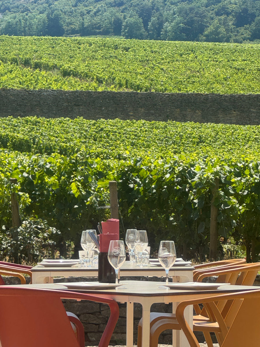 Månedens vinsmagning: Beretninger fra Bourgogne & Champagne (26.11.26)