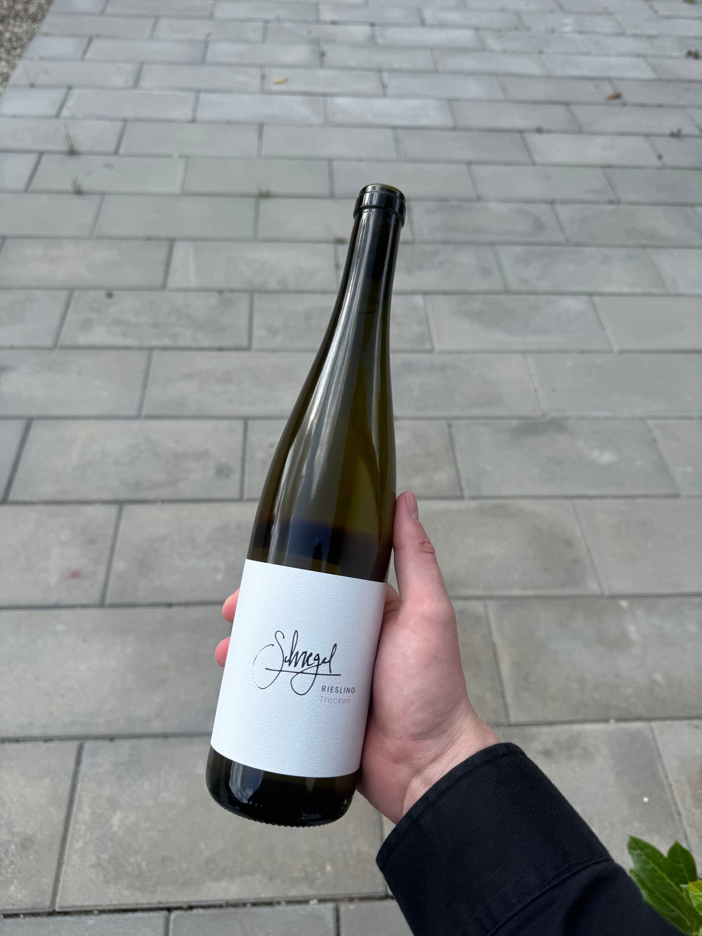 Alexander Schregel - Riesling 'Trocken' '24