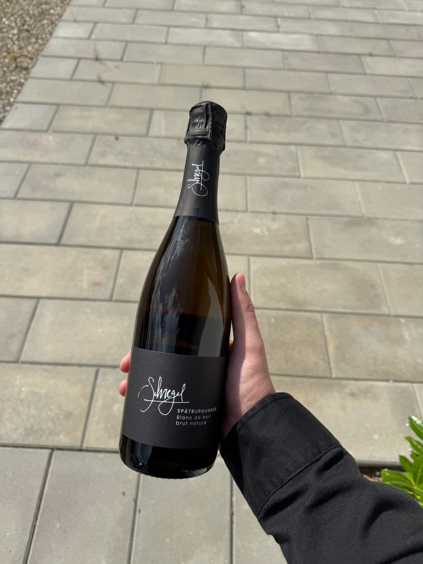 Alexander Schregel - Blanc de Noir 'Brut Nature' '20