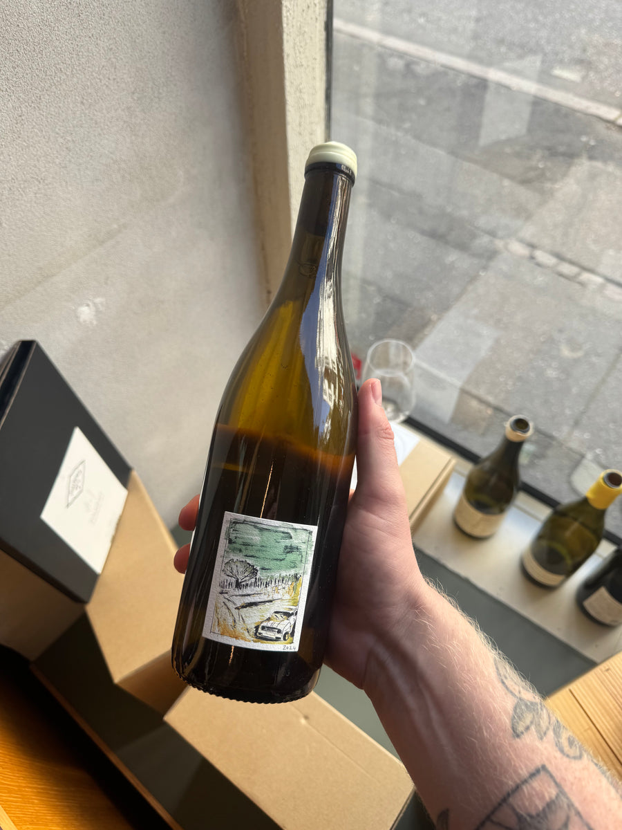 Wills Wine Saint-Joseph 'Hameau du Luc' 2024, hvidvin fra Nord Rhône (Condrieu)