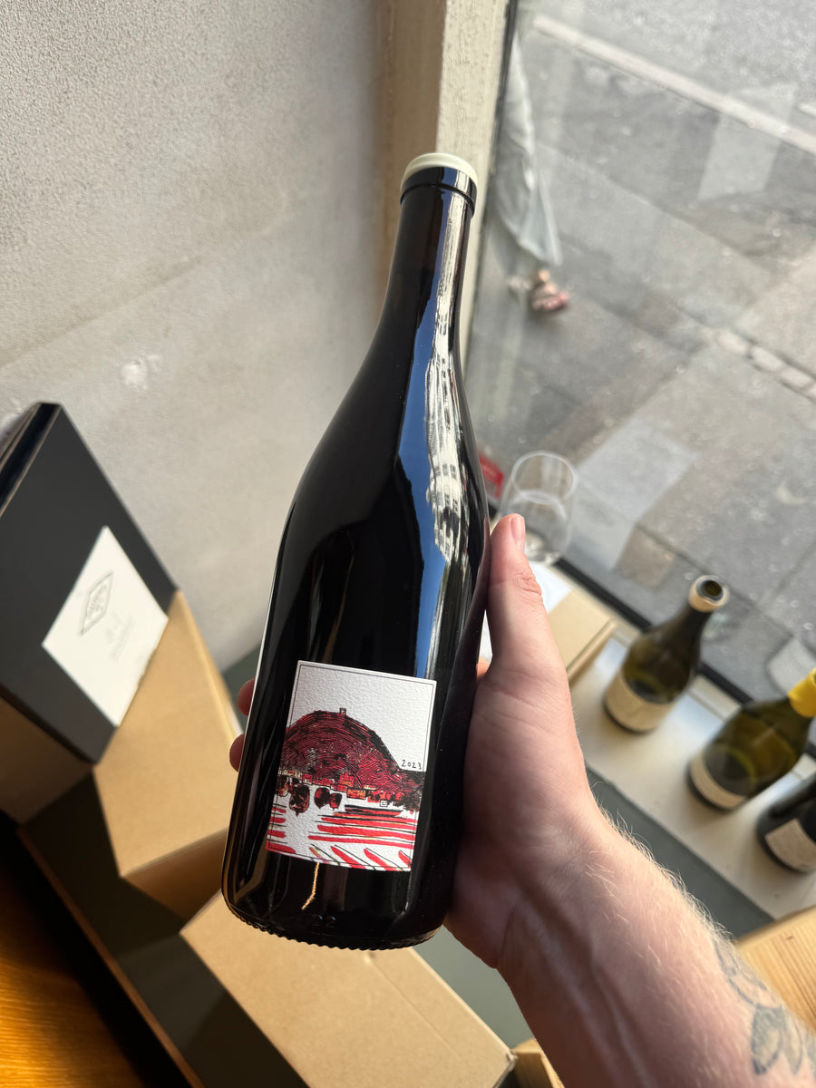 Wills Wine Avant Midi 2023, rødvin fra Nord Rhône (Condrieu)