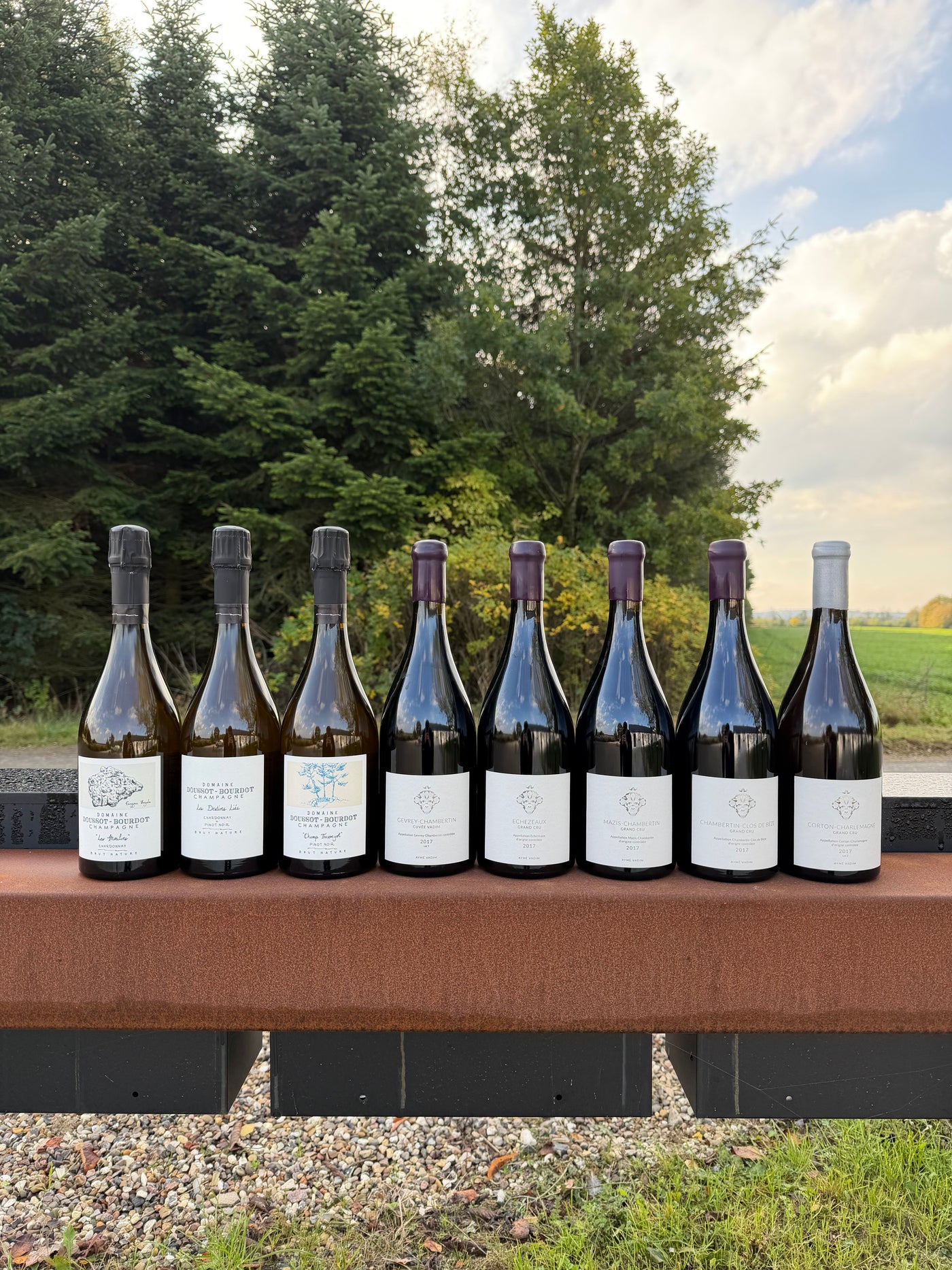 Vinsmagning: Aymé Vadim & følgeskab fra Champagne (13.11.25)