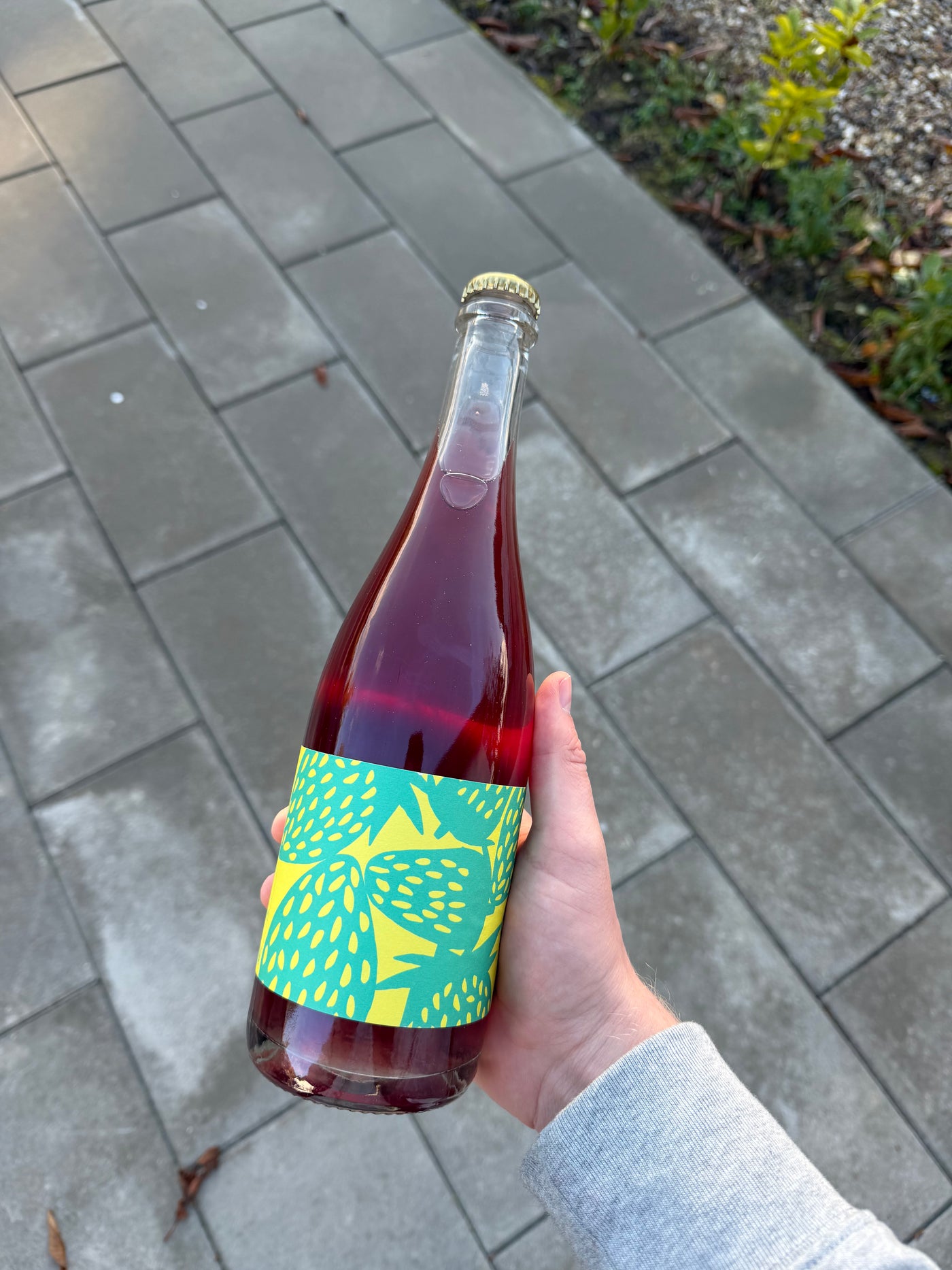 Club Canon - Petillant Natural '24