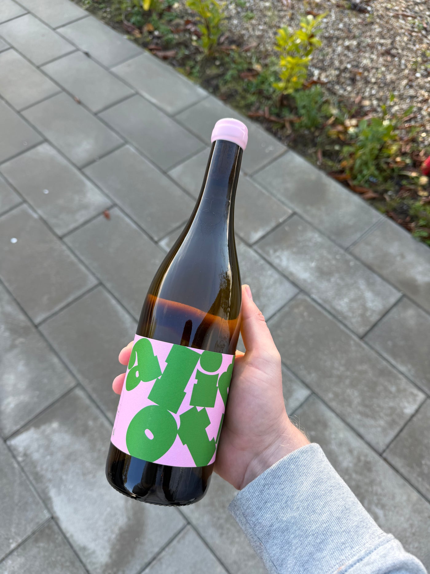 Club Canon - Bourgogne Aligoté '24