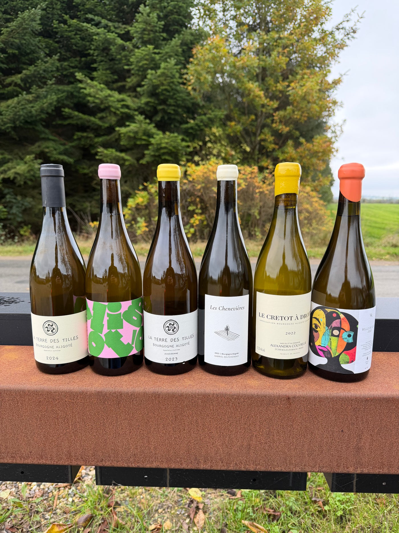 Månedens smagning: En tur til Bourgogne med Aligoté! (20.11.25)