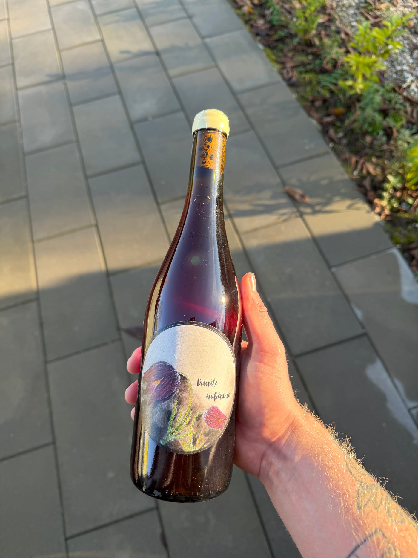 Oxymore - Discréte Exubérance '24