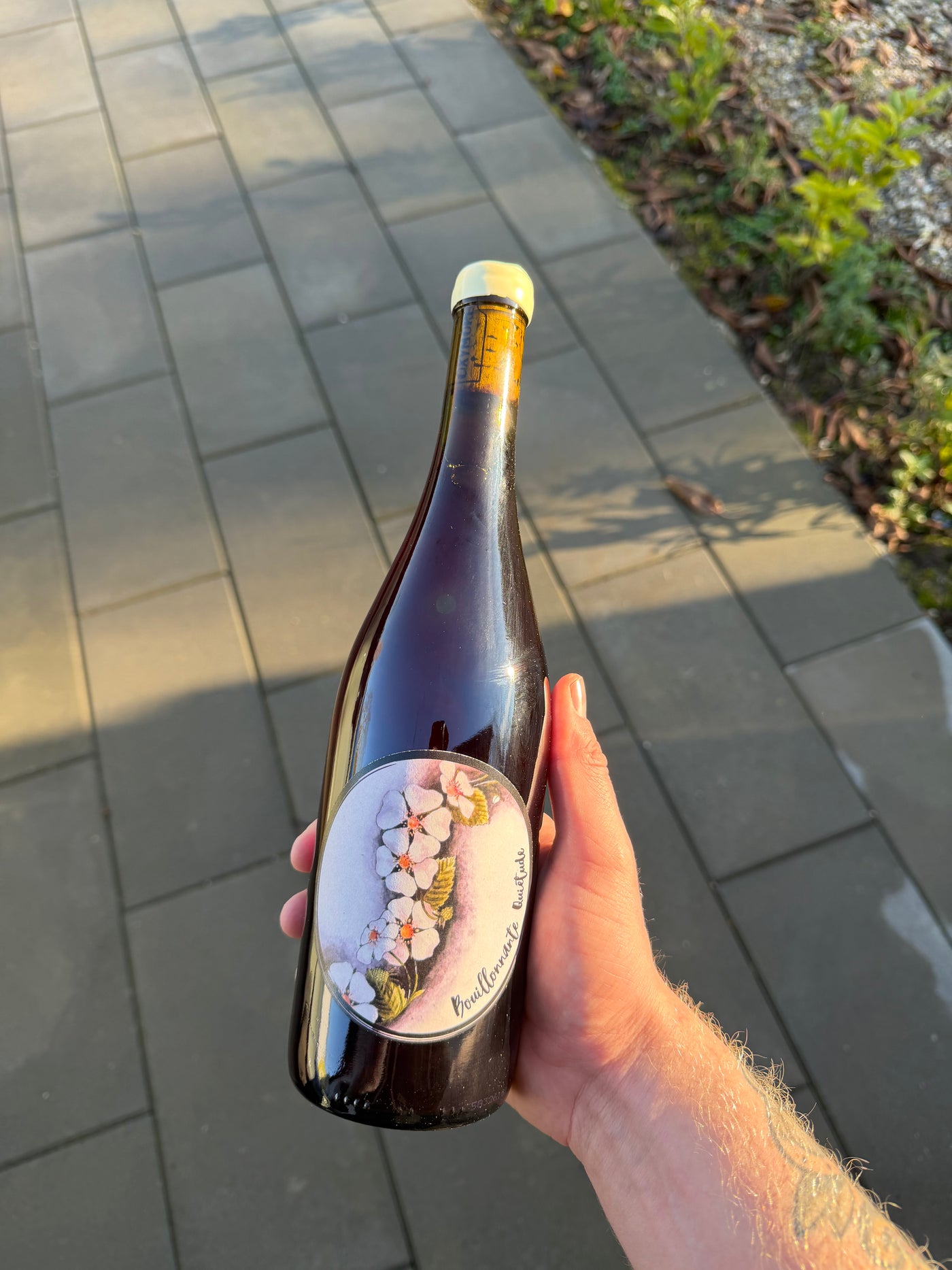 Oxymore - Bouillonnante Quiétude '24