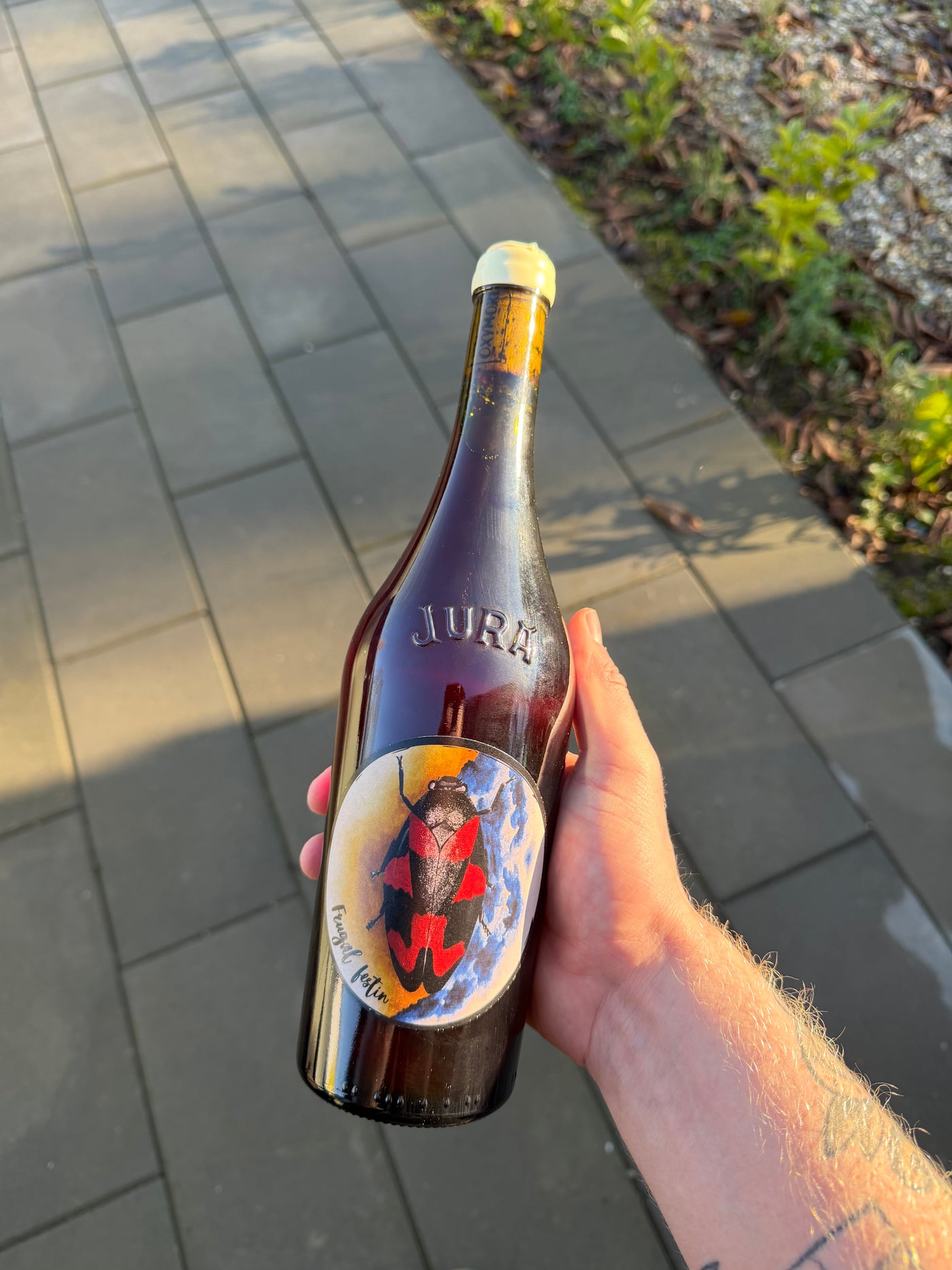 Oxymore - Frugal Festin '24