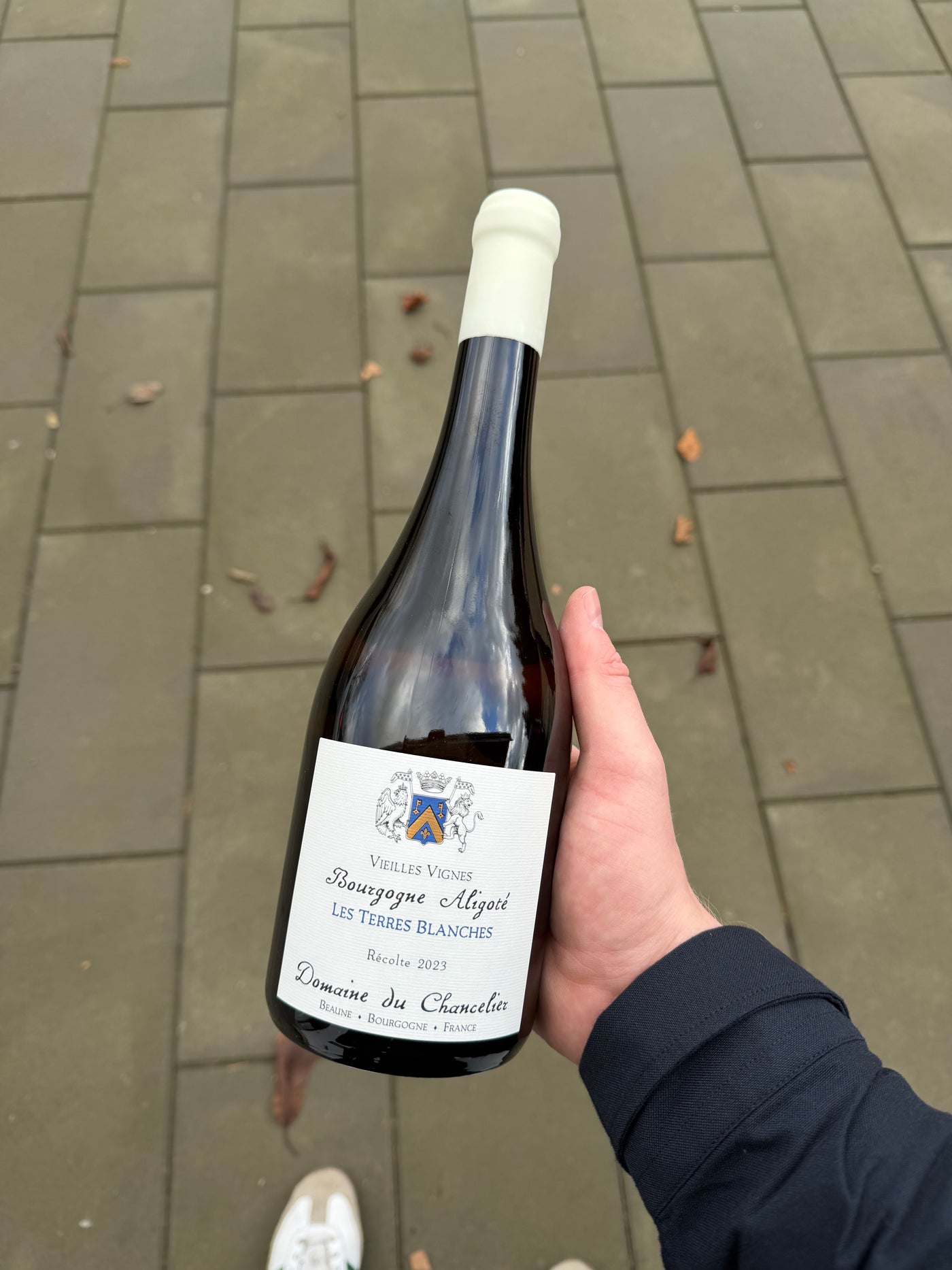 Domaine du Chancelier Bourgogne Aligoté 'Les Terres Blanches' 2023, hvidvin fra Bourgogne