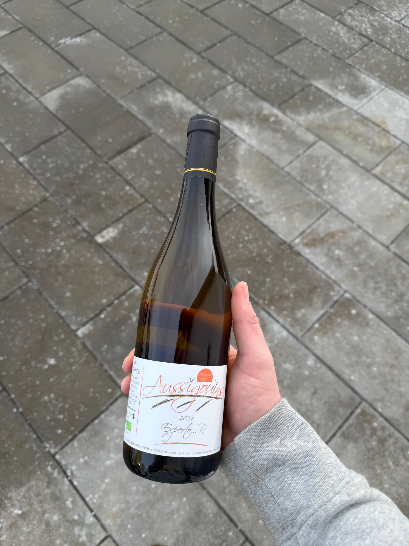 Dominique Dufour Experto...R 2024, hvidvin fra Loire (Rablay-sur-Layon)