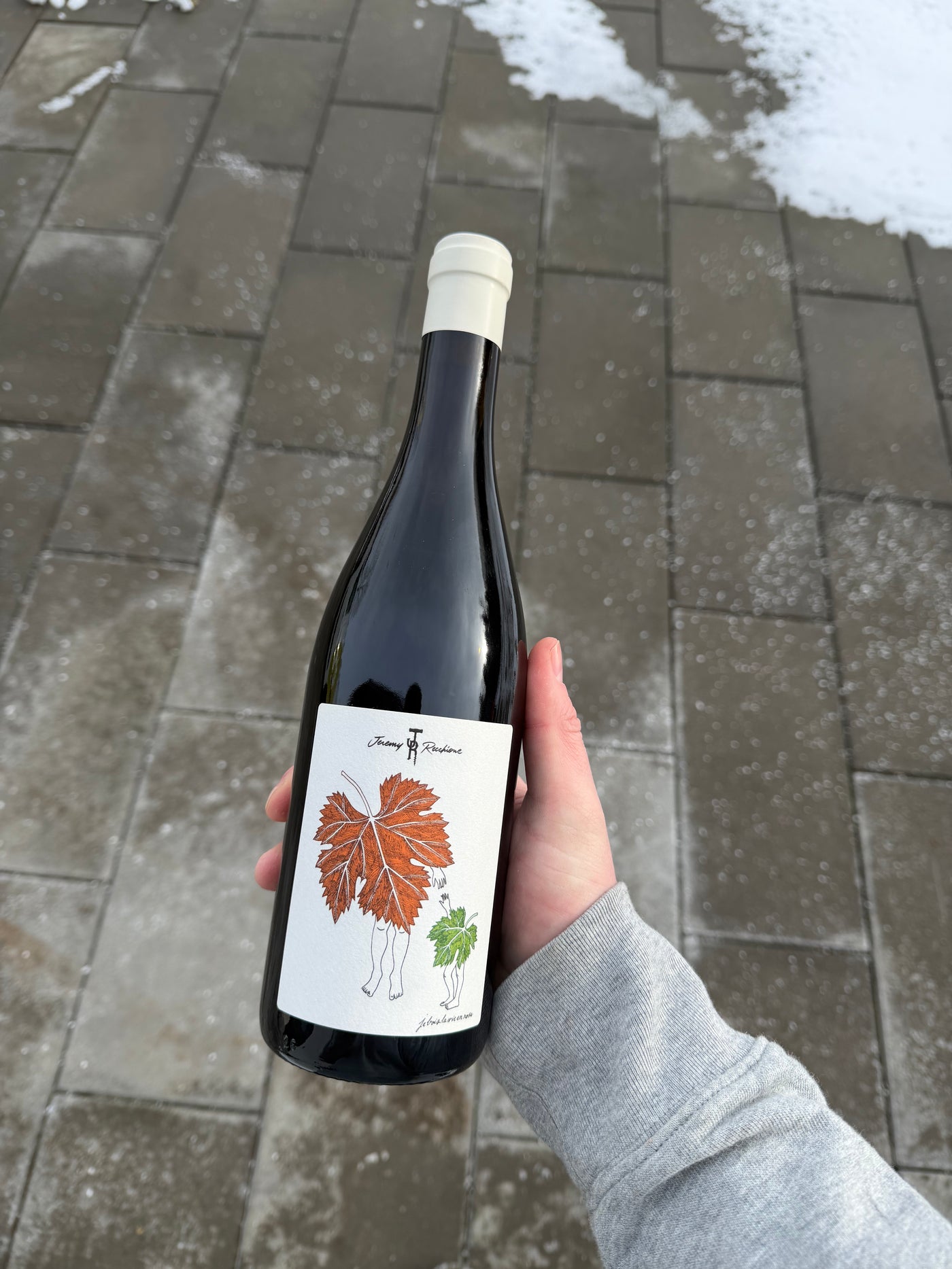 Jérémy Recchione Coteaux Bourguignon Rouge 2024, rødvin fra Bourgogne