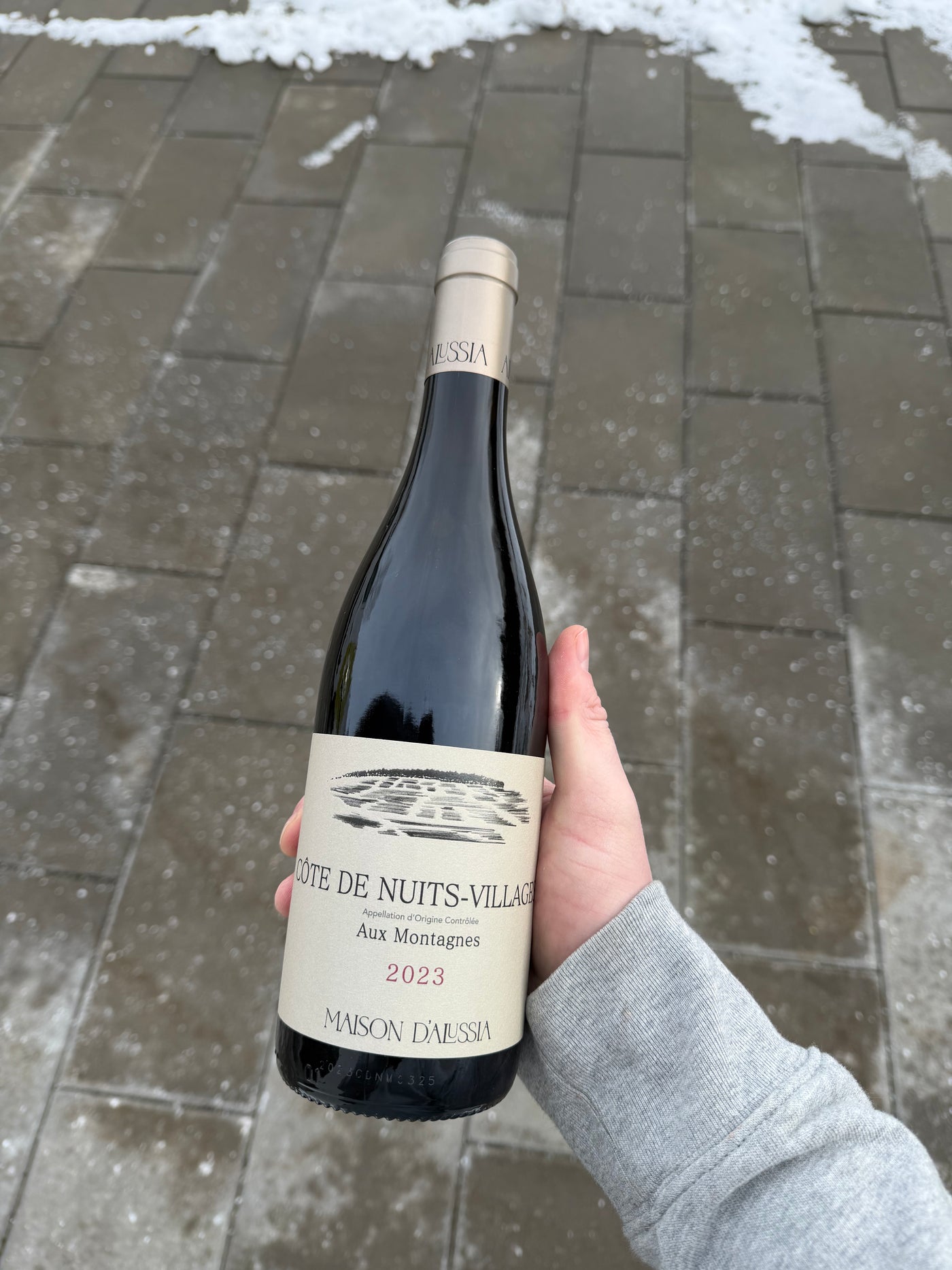 Domaine d'Alussia Côte de Nuits Village 'Aux Montagnes' 2023, rødvin fra Bourgogne (Aloxe-Corton)