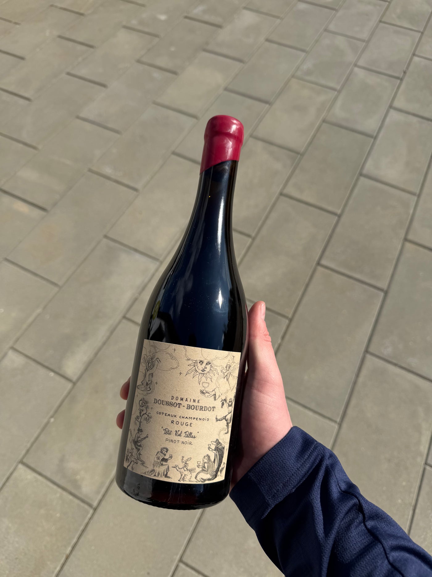 Doussot-Bourdot Le Petit Val Palles, rødvin (coteaux champenois) fra Champagne (Loches sur Ource)