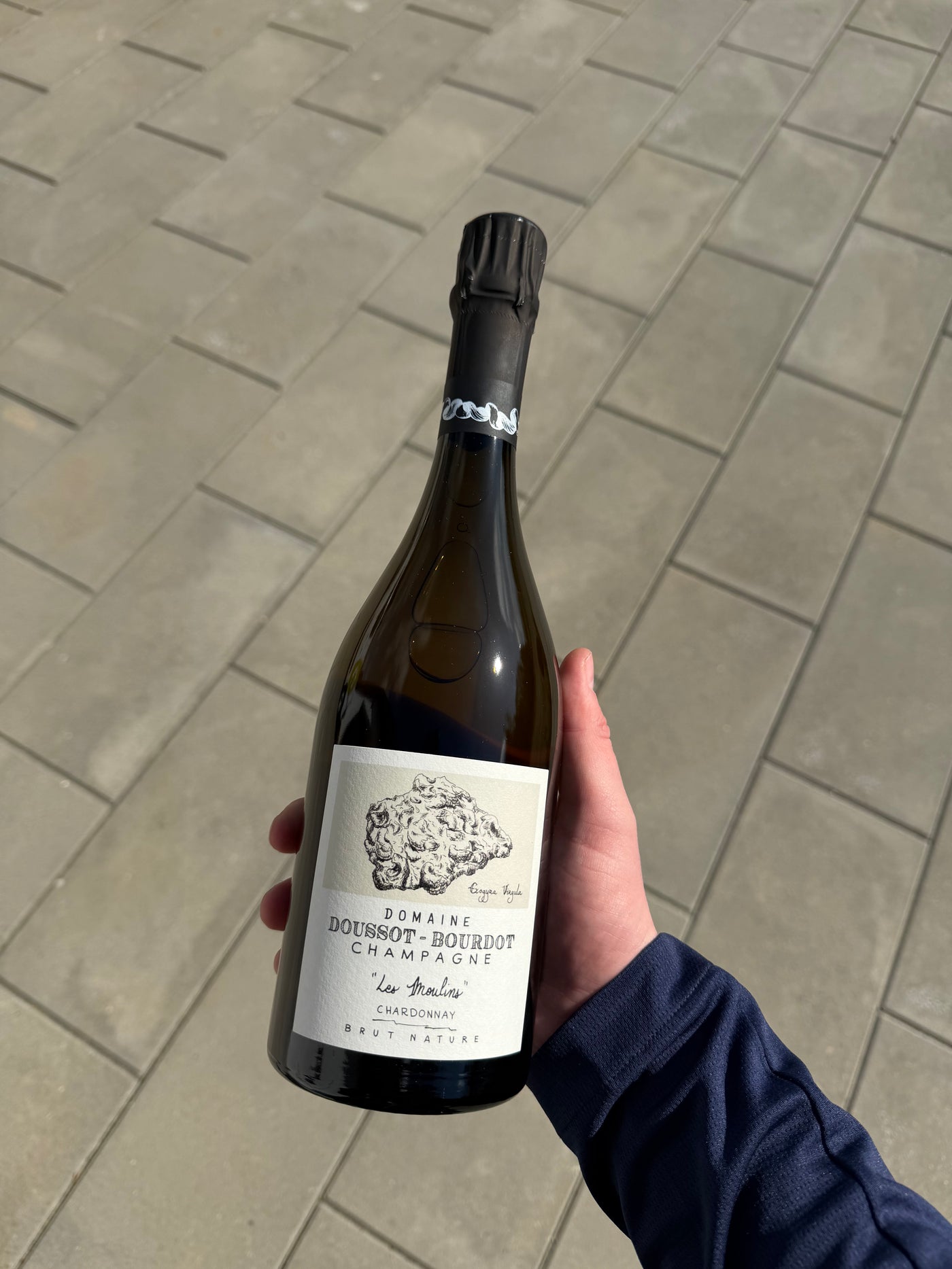 Doussot-Bourdot Les Moulins, bobler fra Champagne (Loches sur Ource)