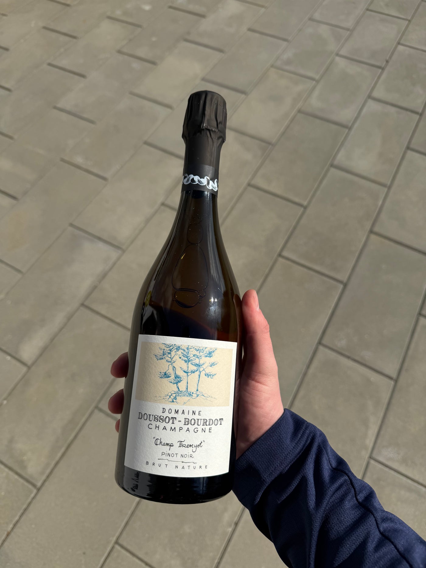 Doussot-Bourdot Champ Fremyot, bobler fra Champagne (Loches sur Ource)