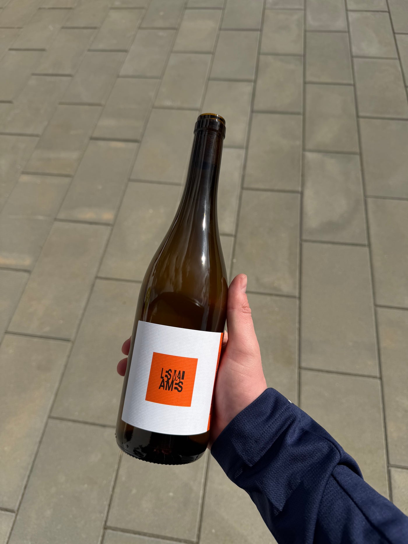 Bertin-Delatte Mal-Aimes 2025, hvidvin fra Loire (Rablay-sur-Layon)